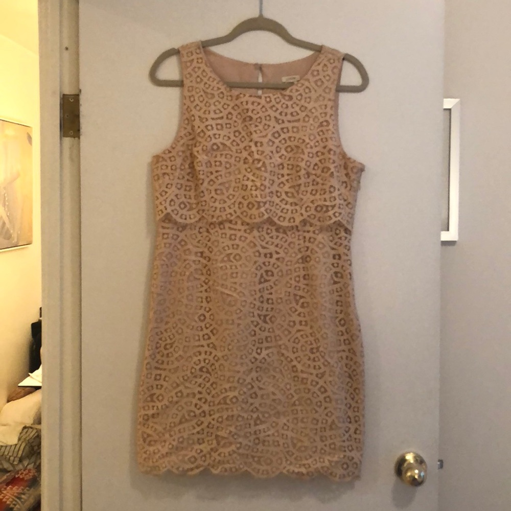 JCrew Lace Cut Dress